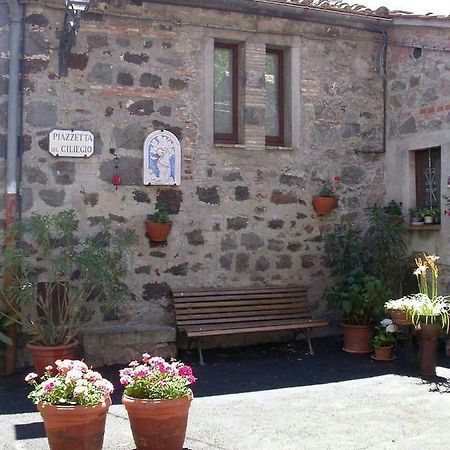 Casa Del Ciliegio Villa Radicofani Kültér fotó